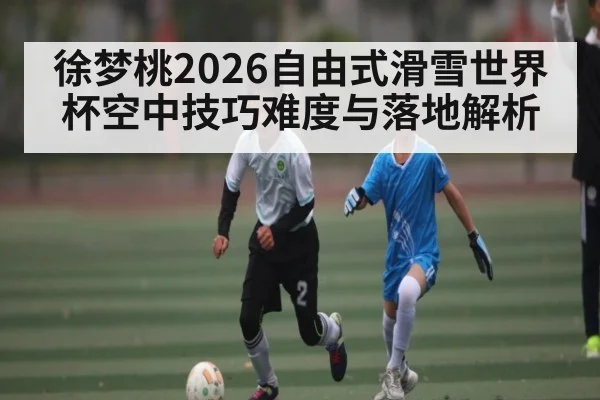 徐梦桃2026自由式滑雪世界杯空中技巧难度与落地解析